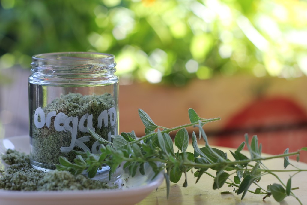 Oregano salt