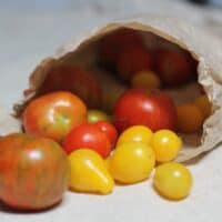 Tomato passata making pre-recorded class (pre-recorded)