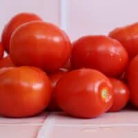 Tomato passata day
