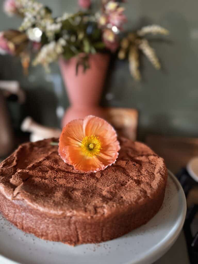 flourless chocolate almond cake