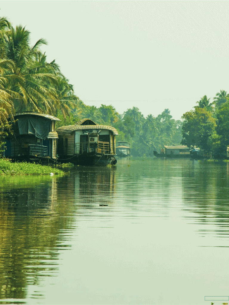 South India food tour