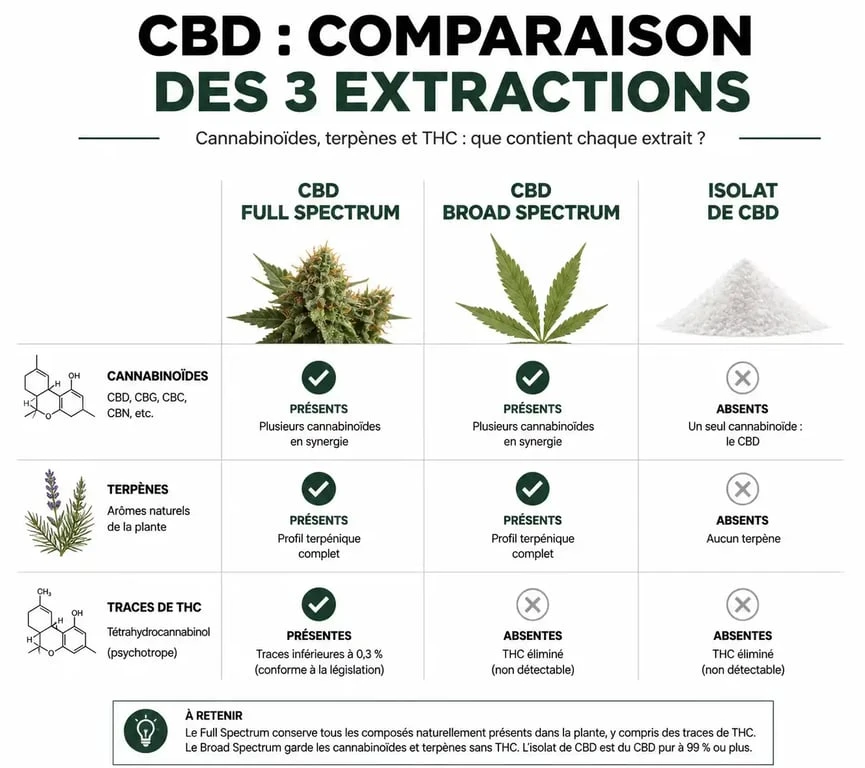 Infographie explicative des différences entre CBD Full Spectrum, Broad Spectrum et isolat pour le point chanvre