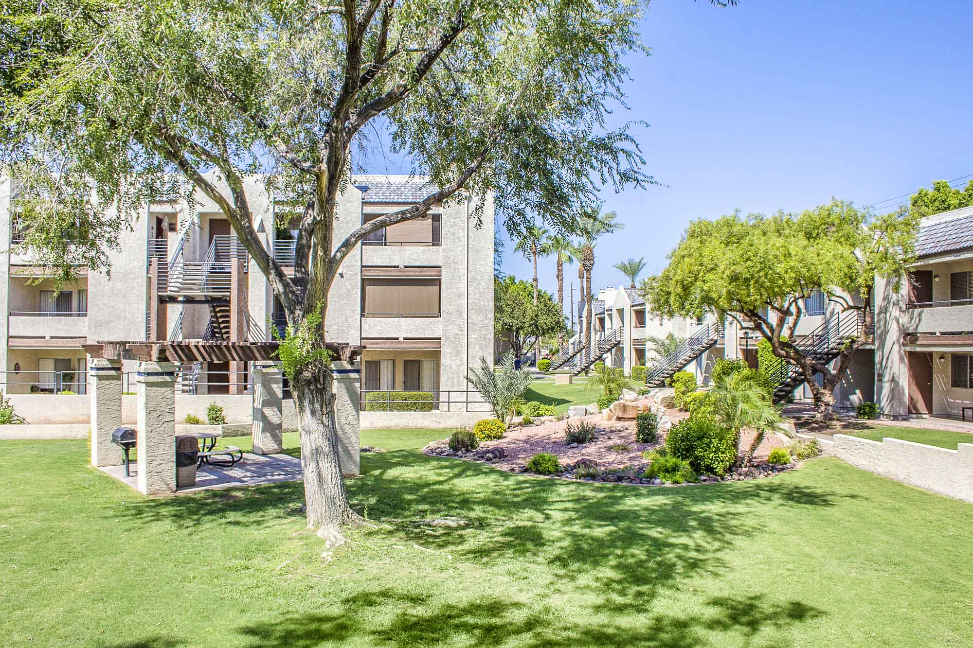 The lawn at Meadow Glen in Phoenix, AZ.