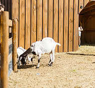 MiguelLalonde.com-021