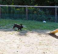 MiguelLalonde.com-025