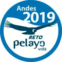 Reto 2019