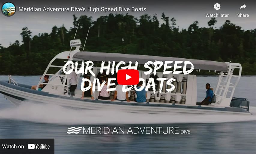 Meridian Adventure's High Speed Dive RIBs - Gemini Yamaha Powered Meridian Adventure’s High Speed Dive RIBs – Gemini Yamaha Powered @ RIBs ONLY - Home of the Rigid Inflatable Boat