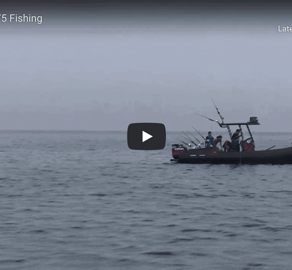 RIB Master 775 Fishing RIB Master 775 Fishing @ RIBs ONLY - Home of the Rigid Inflatable Boat