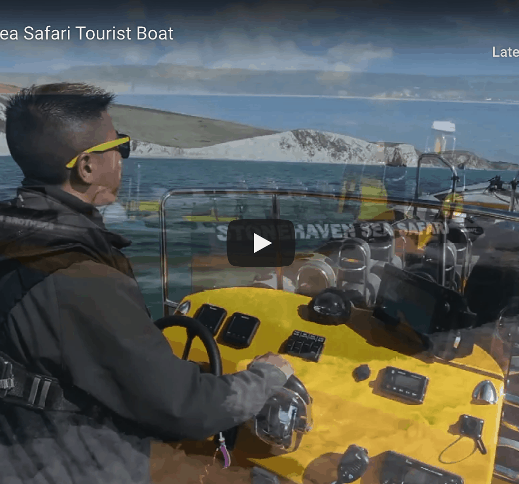 RIBCRAFT RIB Sea Safari Tourist Boat Ribcraft RIB Sea Safari Tourist Boat @ RIBs ONLY - Home of the Rigid Inflatable Boat