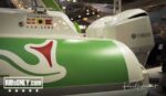 medianaut_karel_overlaet_810_3726