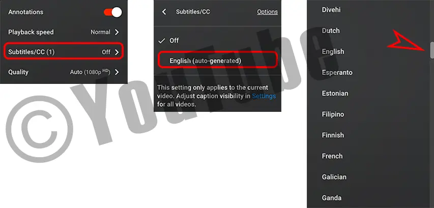 ©Youtube video menu language