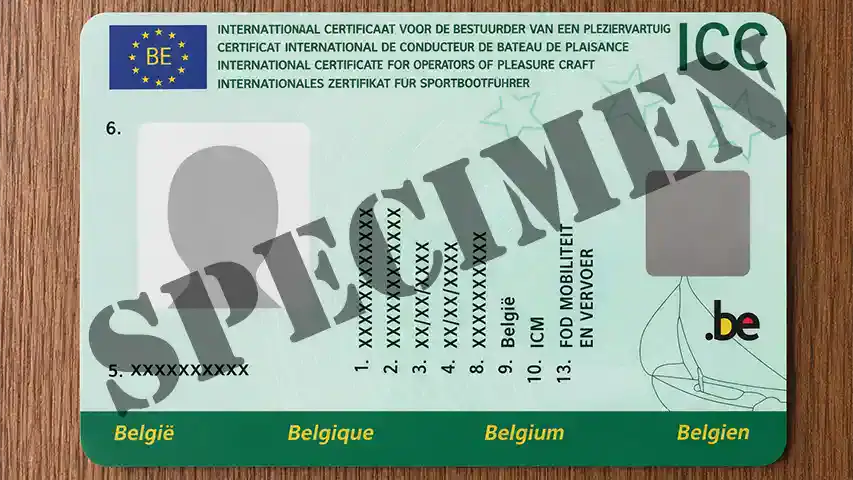 Specimen of the International Certificate of Competence (ICC) @ RIBs ONLY - Home of the Rigid Inflatable Boat