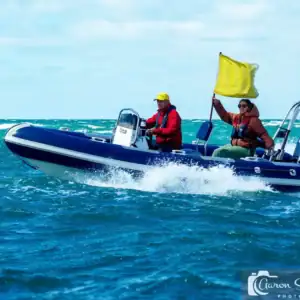 The Aqua Adrenaline Series safety boat Ribtec 5 m @ RIBs ONLY - Home of the Rigid Inflatable Boat