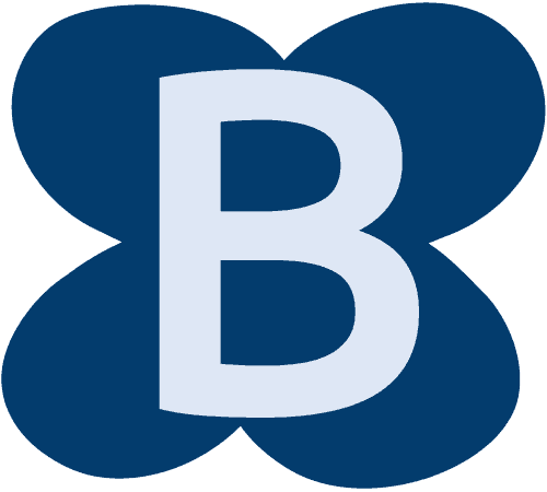 The letter B