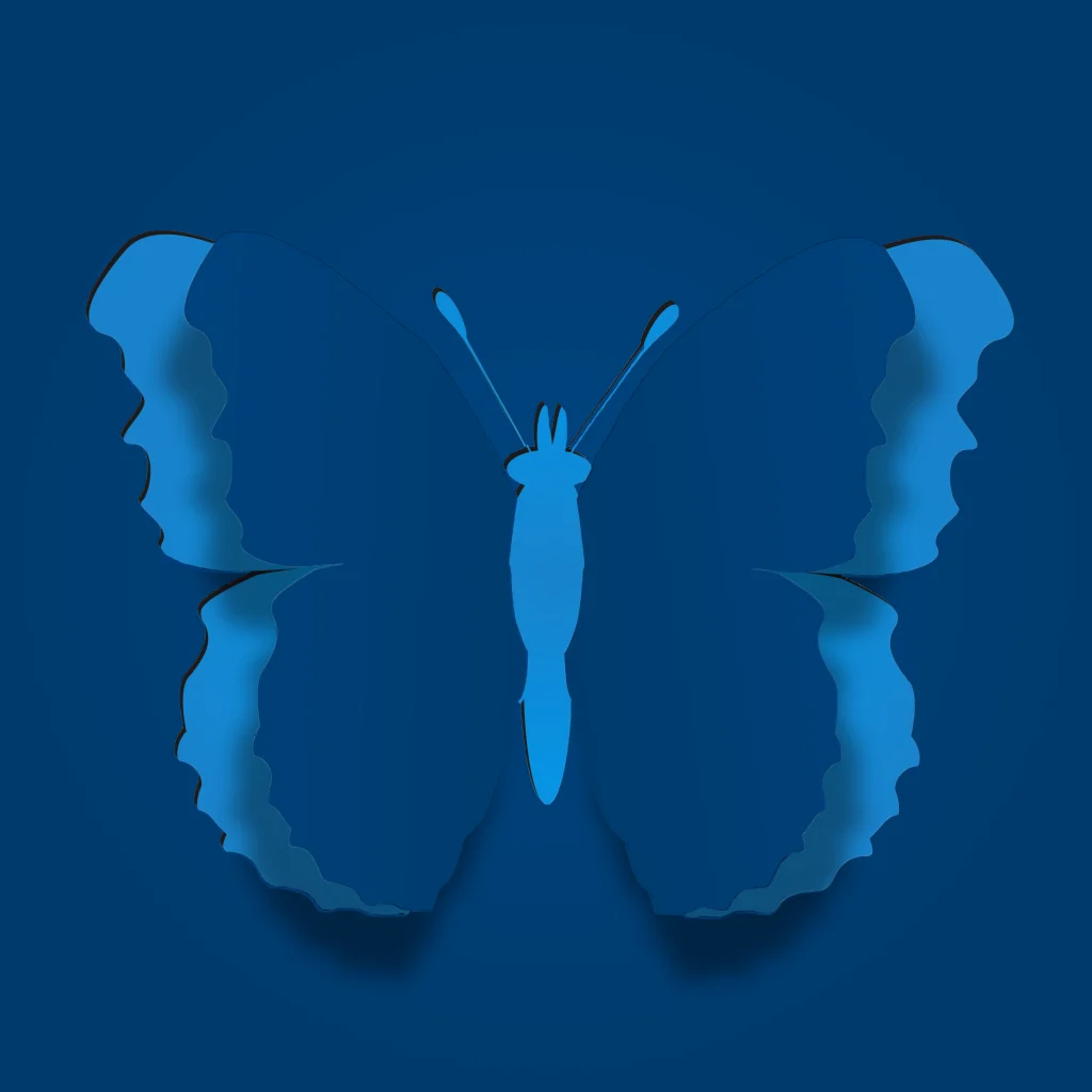 A blue butterfly
