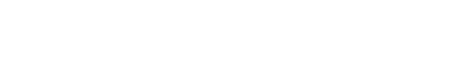 BRICOPAL Logo
