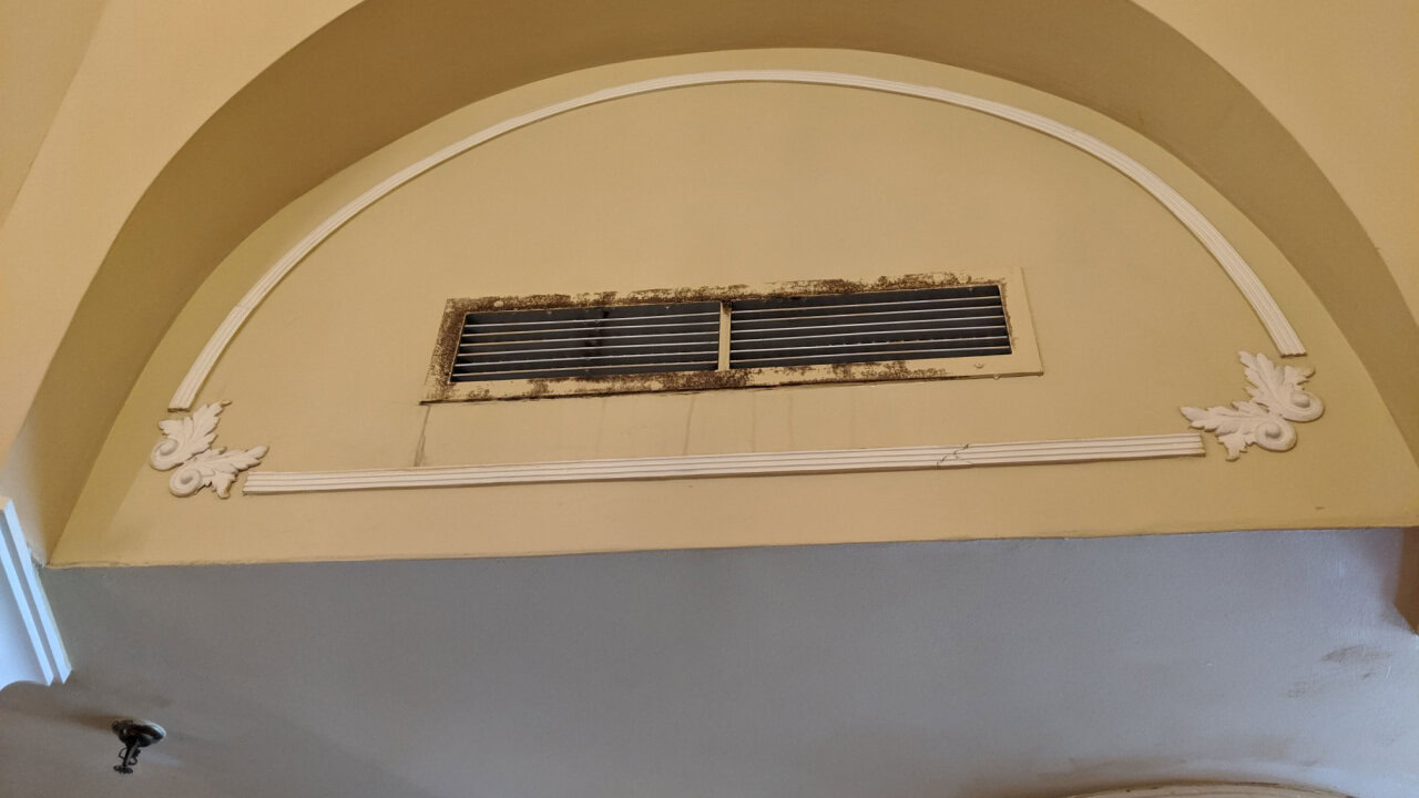 Black Mold Removal