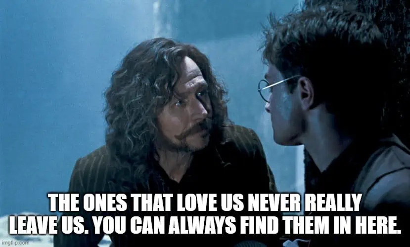 60 Inspiring Harry Potter Quotes that Potterheads Live By 10 Sirius Black saying an inspiring quote to Harry Potter