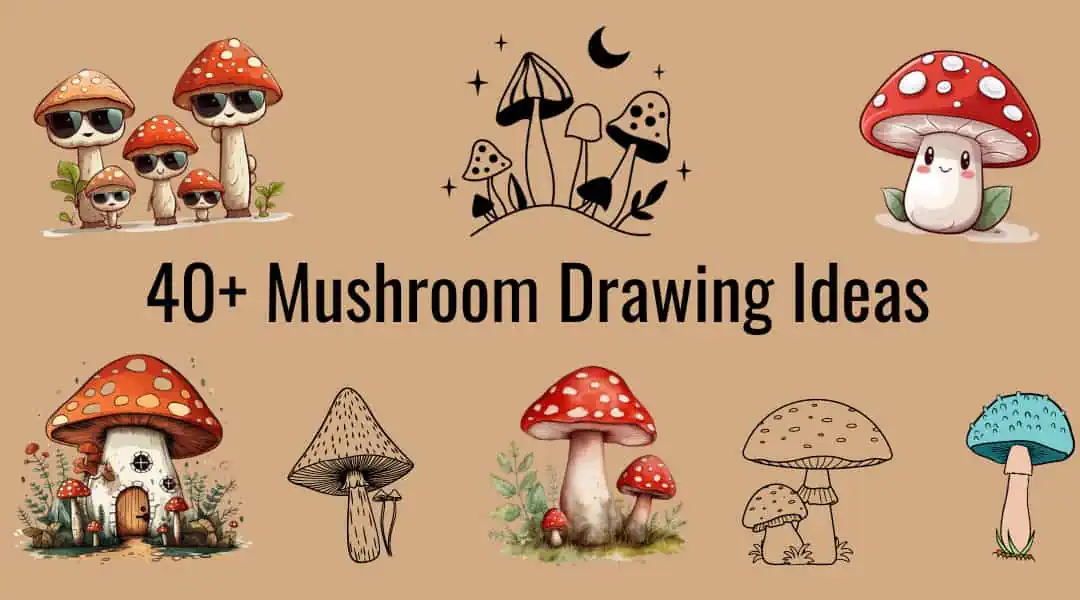 40+ Whimsical Mushroom Drawing Ideas with Cottagecore Vibes! 3 mushroom drawing ideas