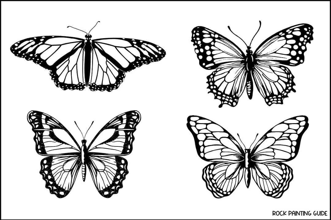 40 Enchanting Butterfly Drawing Ideas for Every Artist 9 realistic butterflies