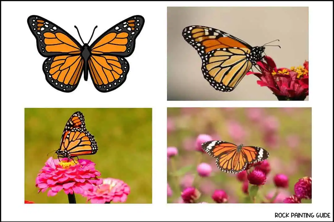 40 Enchanting Butterfly Drawing Ideas for Every Artist 12 monarch butterfly drawing ideas