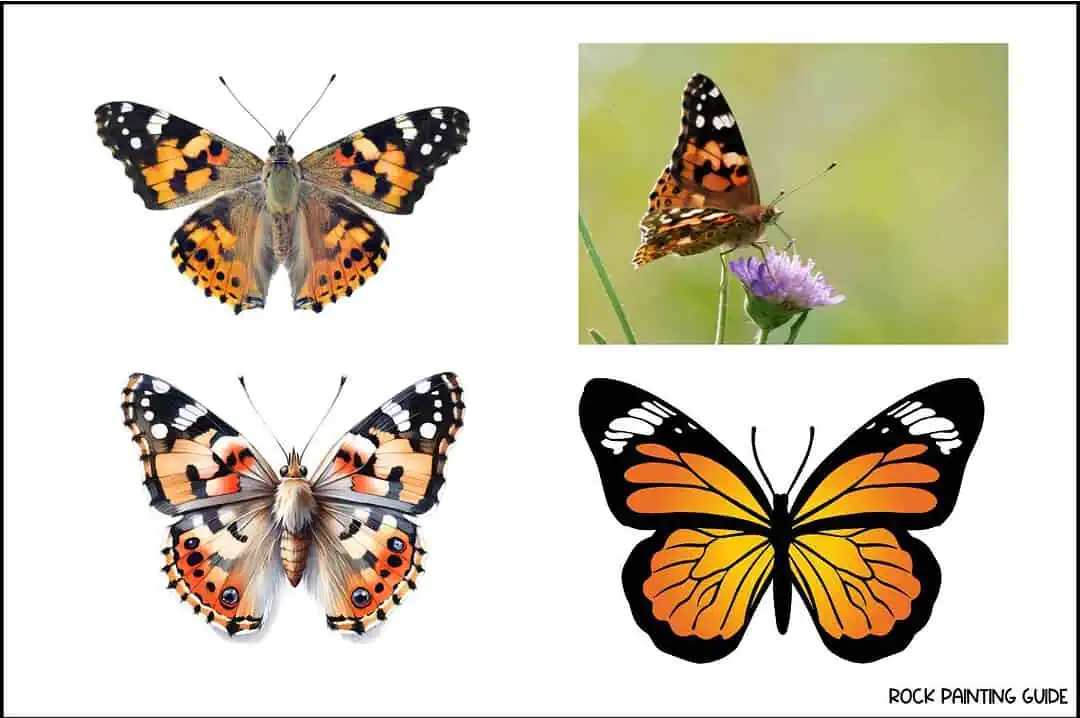 40 Enchanting Butterfly Drawing Ideas for Every Artist 14 painted lady butterfly