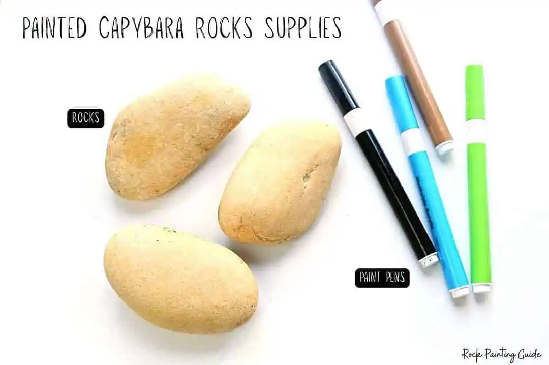 Create Capybara Painted Rocks for effortless Slow Living 4 Colorful paint pens and smooth, painted surface on rocks, perfect for rock art projects.