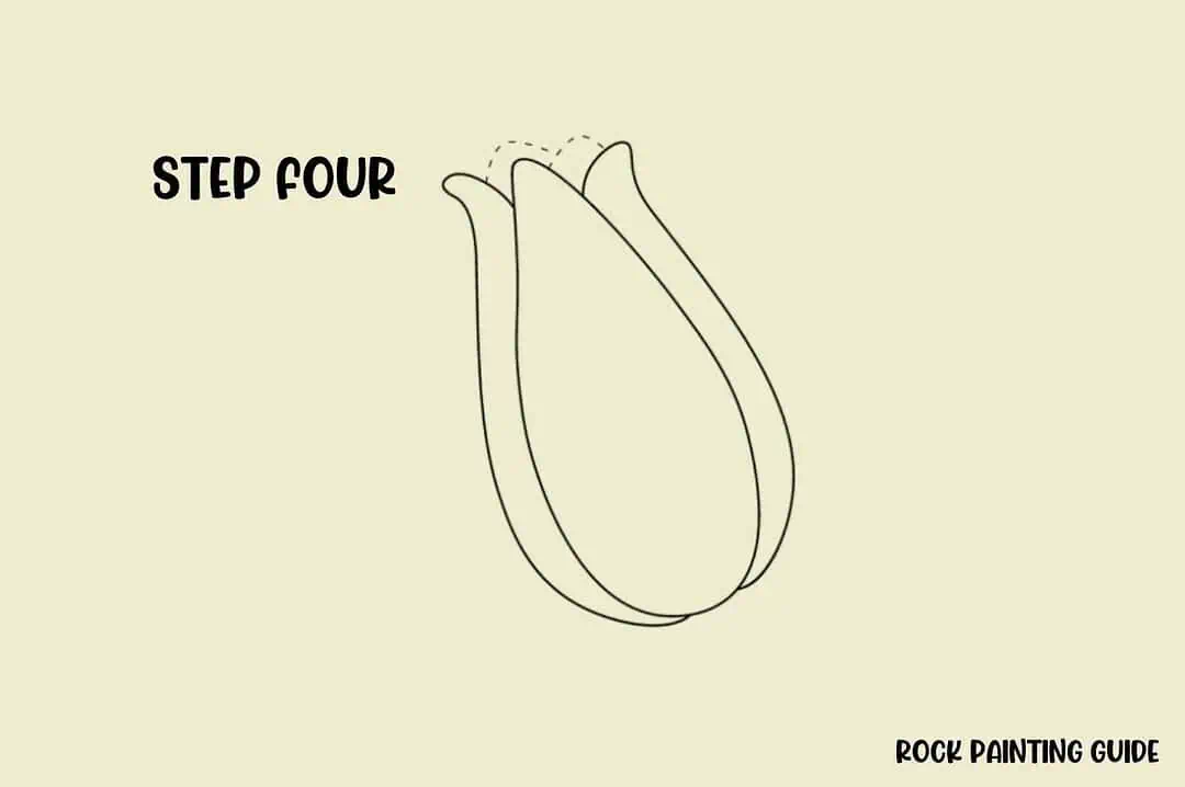 How to Draw a Tulip (Easy Step-by-Step Drawing) 7 fourth step on how to draw a tulip