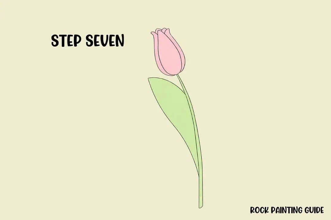 How to Draw a Tulip (Easy Step-by-Step Drawing) 10 seventh step on how to draw a tulip