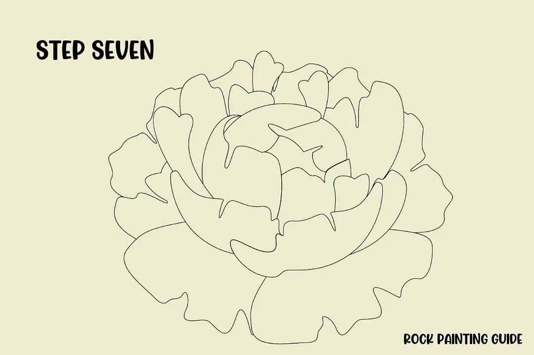 How to Draw a Peony (Easy Step-by-Step Drawing) 11 step 7 of how to draw a peony flower