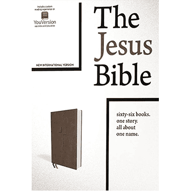 The Jesus Bible cover featuring 66 books, one story, and one name.