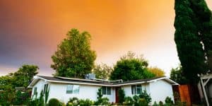 Hiring a Landscaper or Tree Contractor: Ten Things Every Homeowner Should Know