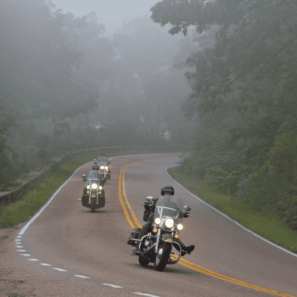 Motorcycles riding on a foggy mountain road surrounded by trees.