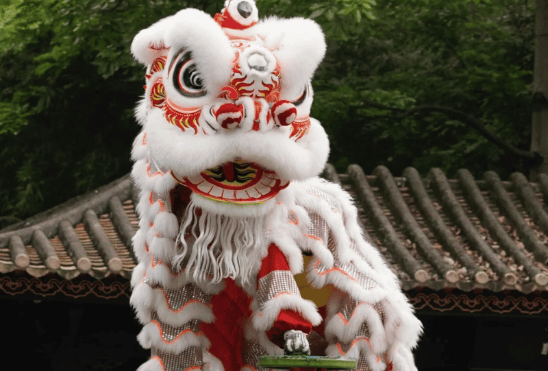 Traditional lion dance performance in Wuyi, a key part of Lingnan culture.