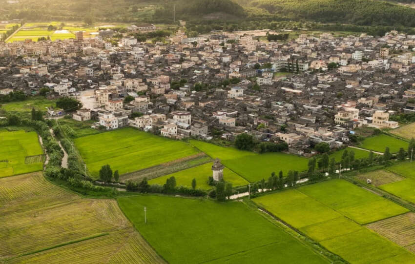 Aerial view of Taishan China Agricultural Park in Duhu Town, showcasing lush green rice fields, rural villages, and surrounding mountains under soft sunlight.