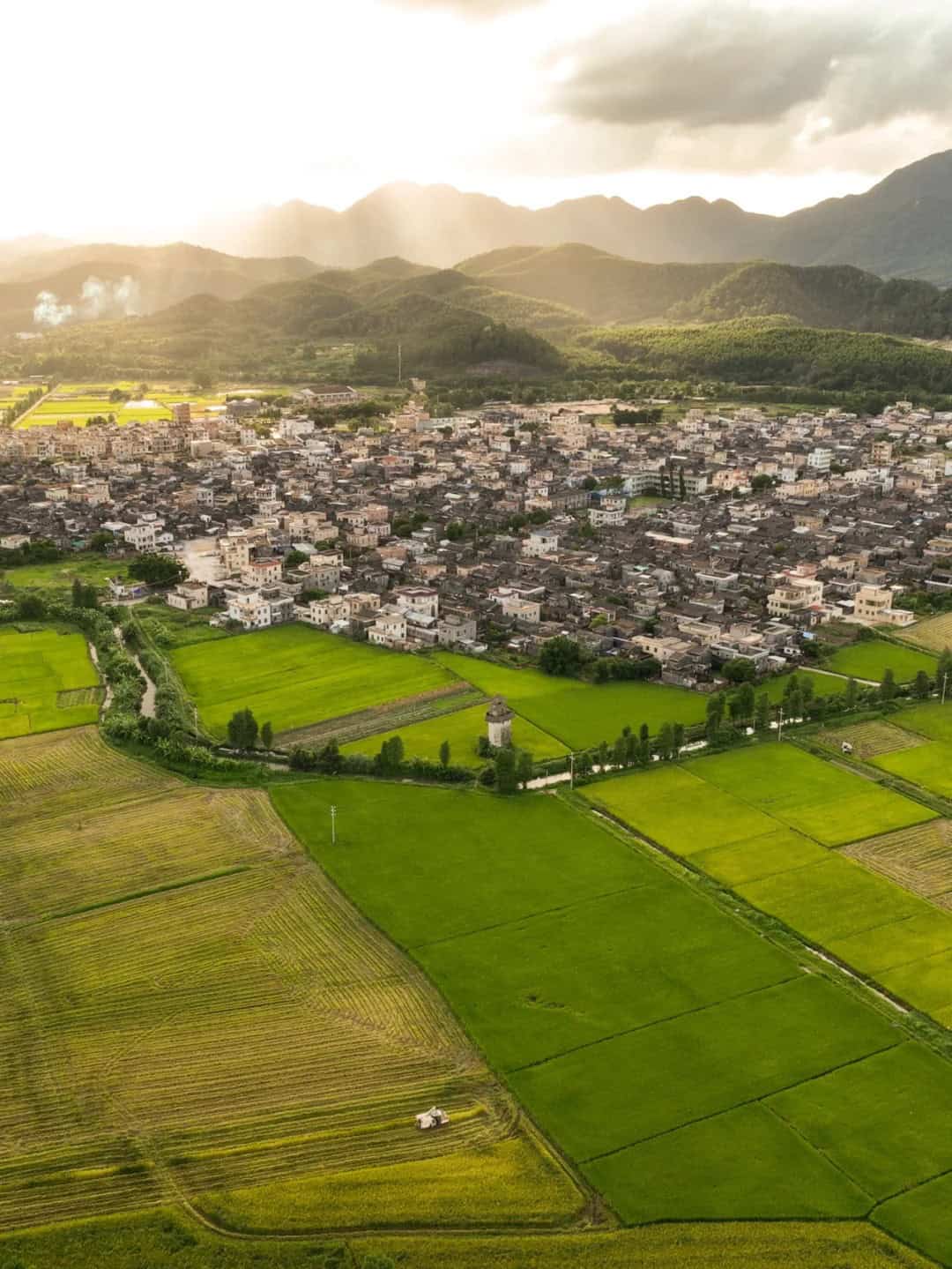 Aerial view of Taishan China Agricultural Park in Duhu Town, showcasing lush green rice fields, rural villages, and surrounding mountains under soft sunlight.