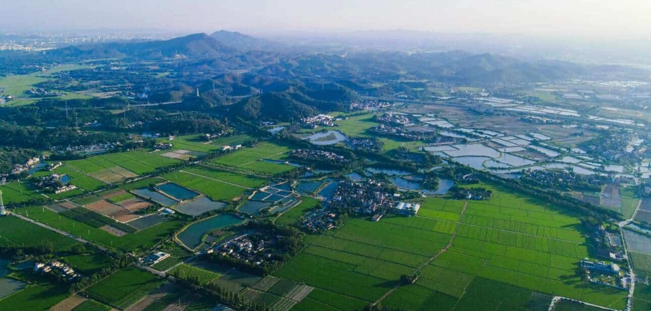 Aerial view of Taishan's rural landscape featuring rice paddies, fish ponds, and traditional villages.