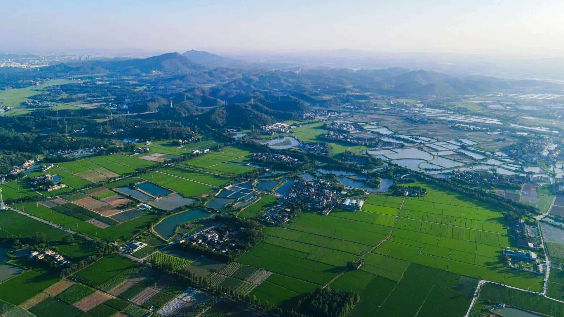 Aerial view of Taishan's rural landscape featuring rice paddies, fish ponds, and traditional villages.