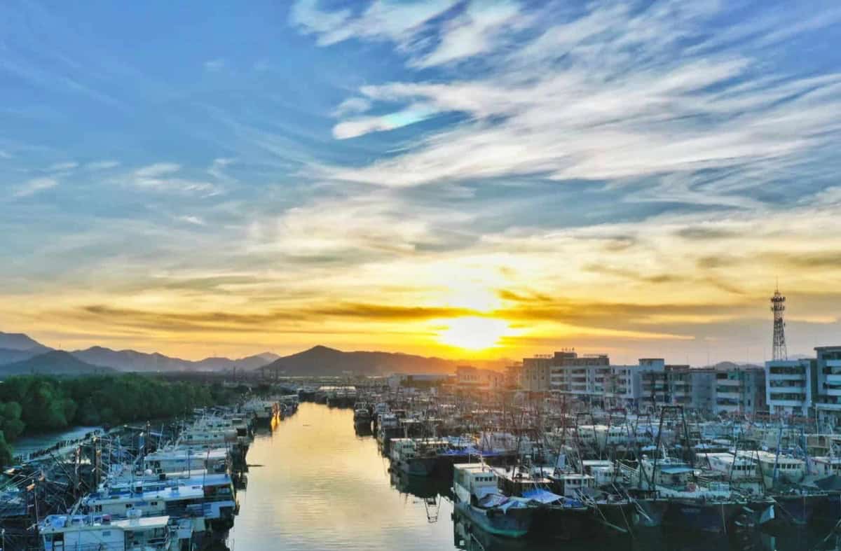 Traditional fishing port on the Wuyi coast at sunset, with boats moored along the shoreline and city skyline in the distance
