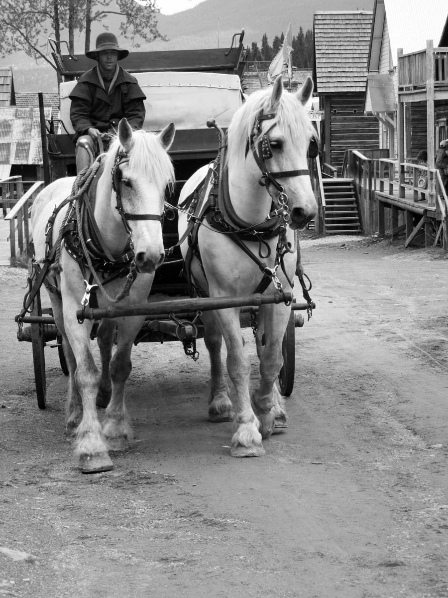 Barkerville, the Cariboo gold-rush town in British Columbia where roughly half the population was Chinese