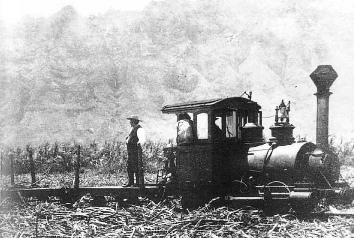 A cane train at Koloa Sugar Company plantation, Hawaii, in 1882.