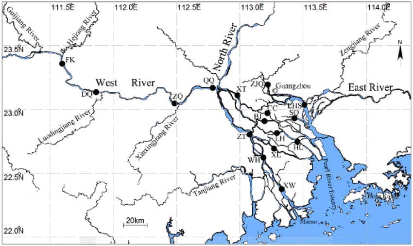 Map of the Pearl River Delta showing the river corridors that carried Song-era migrants from Nanxiong south into the Wuyi counties.