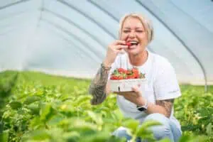 Frische Erdbeeren in grünen Schalen aufgereiht – fotografiert vom Rostocker Fotograf.
