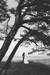 Hochzeit Fotograf Ahrenshoop: Ein Brautpaar am Strand von Ahrenshoop, steht am Strand mit einer Strandkiefer.
