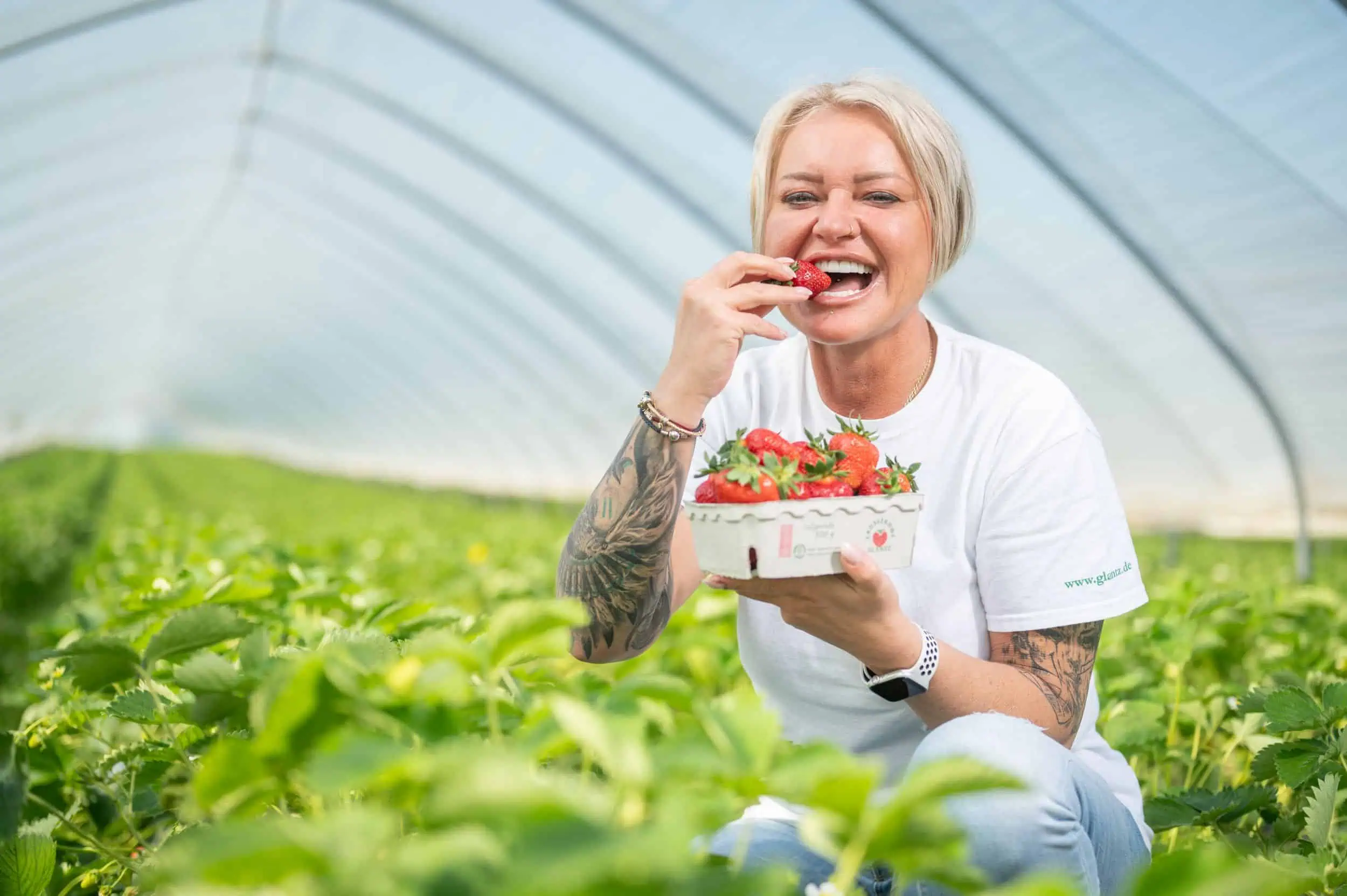 Erdbeerhof Glantz startet die Erdbeerernte Ania Knieczny (41) mit Erdbeerkorb von Erdbeer Glantz sitzt im Gewächshaus und isst frische Erdbeeren zwischen grünen Erdbeerpflanzen.