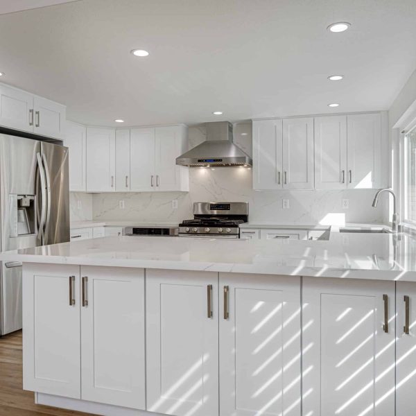 Design & Build
