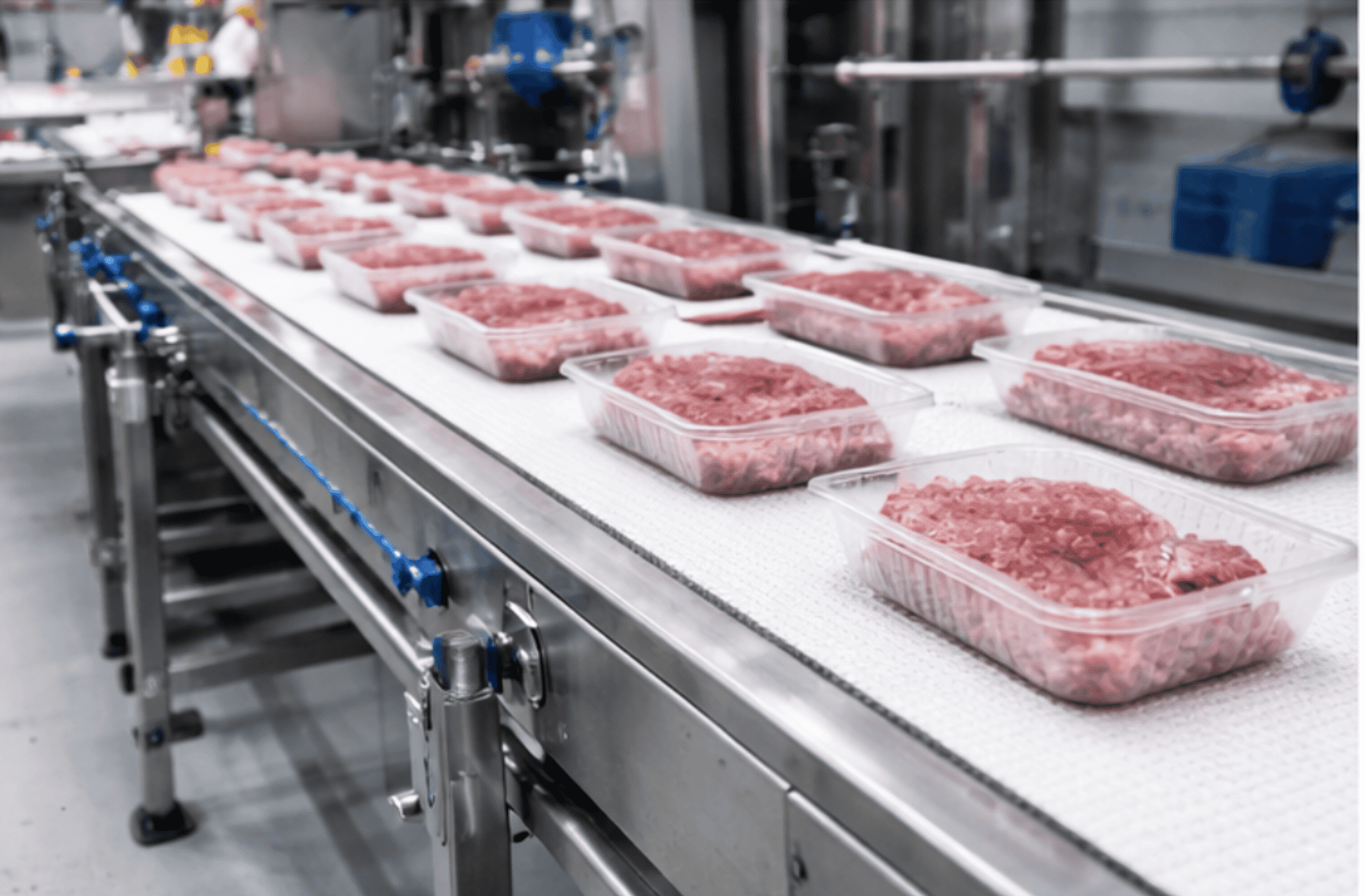 esteira transportadora inox para indústria alimentícia com correia branca transportando carne embalada