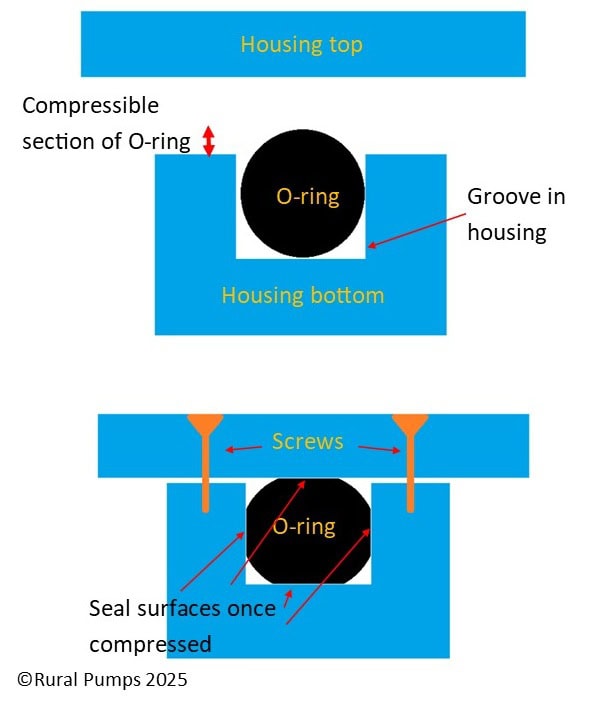 O ring cross section how an o-ring seals when compressed