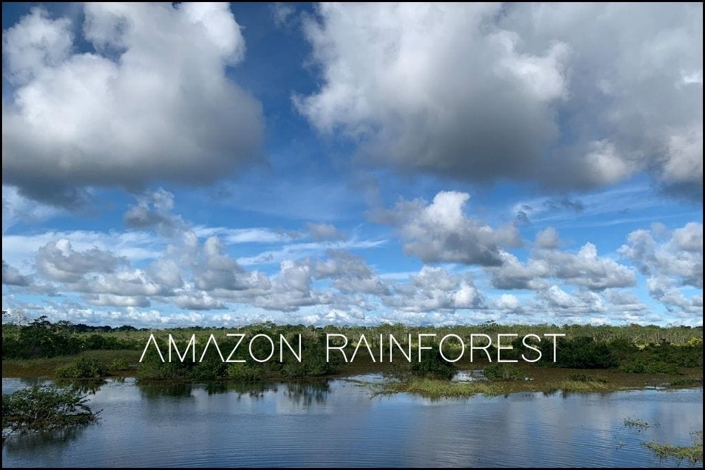 A serene expanse of the Amazon Rainforest's waterways, reflecting a vast sky filled with fluffy clouds, symbolizing the natural spirit and tranquility of this vital ecosystem. The caption 'AMAZON RAINFOREST' suggests an exploration into one of the earth's most spiritual and biodiverse environments.