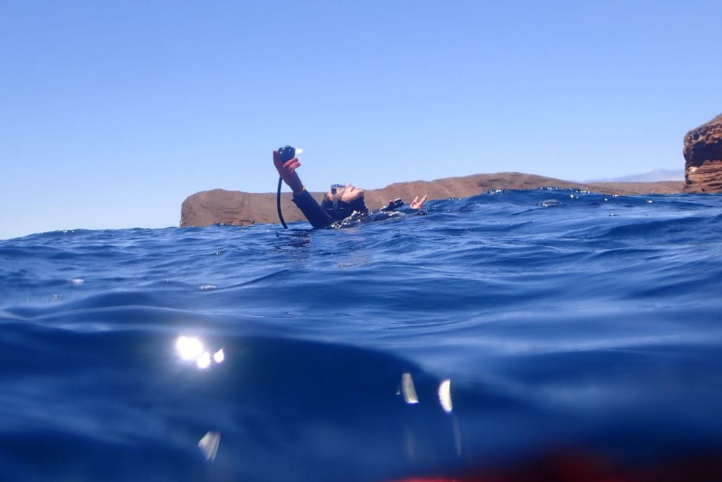 A scuba diver aka myself floats on the surface of the clear red sea, with her arm raised, holding the gear, capturing the moment. In the background, a rugged coastline under a cloudless sky completes this tranquil scene. Used for the article 'is red sea healing'